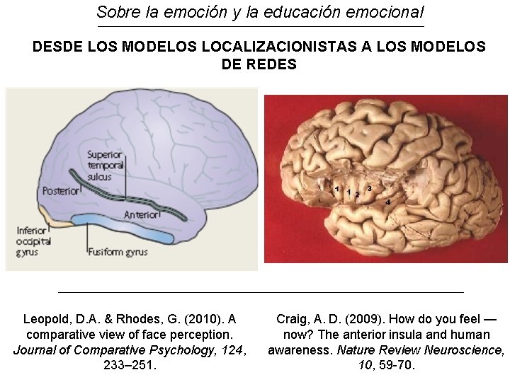 Sobre la emoción y la educación emocional DESDE LOS MODELOS LOCALIZACIONISTAS A LOS MODELOS