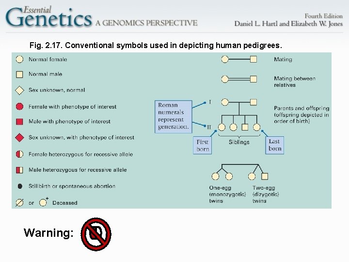 Fig. 2. 17. Conventional symbols used in depicting human pedigrees. Warning: 