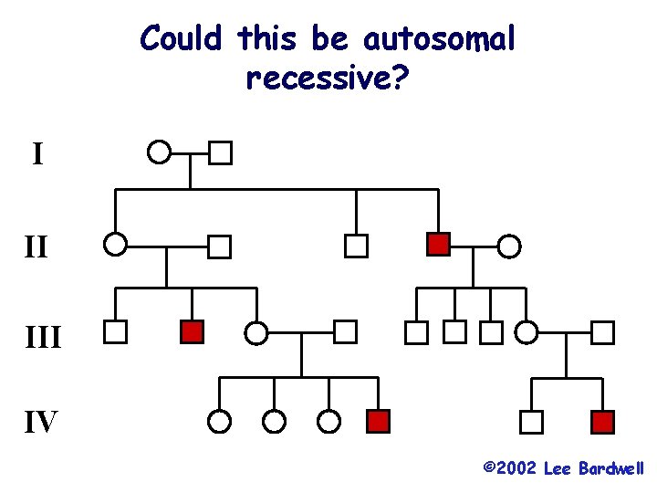 Could this be autosomal recessive? I II IV © 2002 Lee Bardwell 
