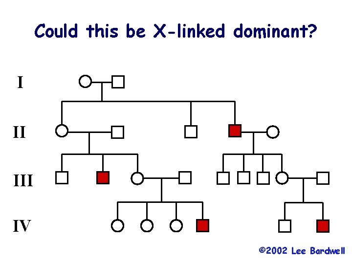 Could this be X-linked dominant? I II IV © 2002 Lee Bardwell 