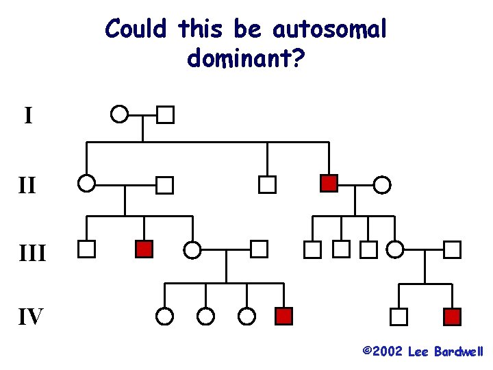 Could this be autosomal dominant? I II IV © 2002 Lee Bardwell 