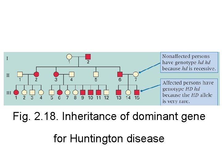 Fig. 2. 18. Inheritance of dominant gene for Huntington disease 