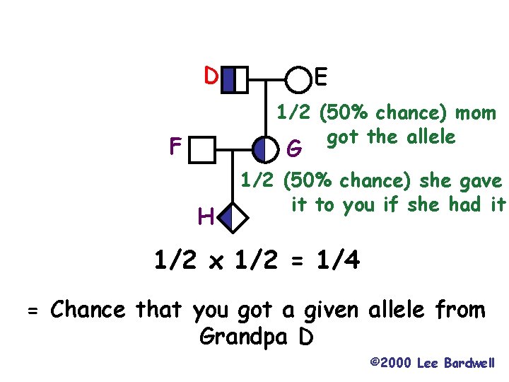 D E 1/2 (50% chance) mom got the allele F G H 1/2 (50%