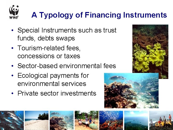 A Typology of Financing Instruments • Special Instruments such as trust funds, debts swaps