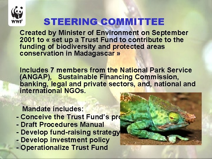 STEERING COMMITTEE Created by Minister of Environment on September 2001 to « set up