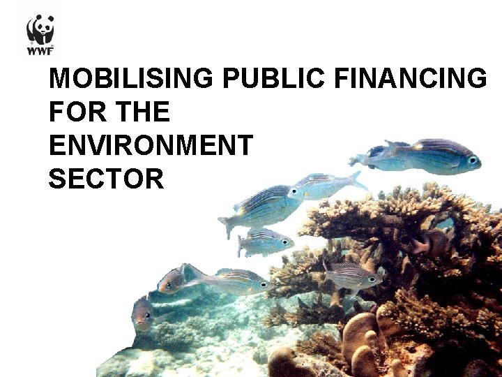 MOBILISING PUBLIC FINANCING FOR THE ENVIRONMENT SECTOR 