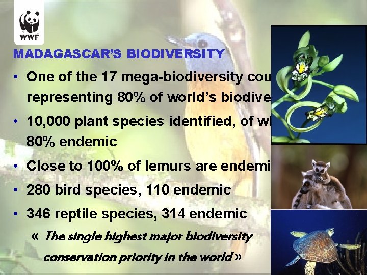 MADAGASCAR’S BIODIVERSITY • One of the 17 mega-biodiversity countries representing 80% of world’s biodiversity