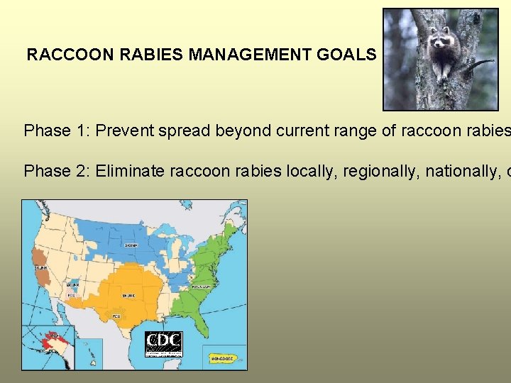 RACCOON RABIES MANAGEMENT GOALS Phase 1: Prevent spread beyond current range of raccoon rabies