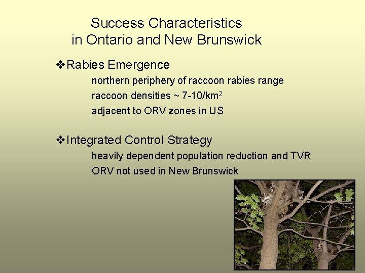 Success Characteristics in Ontario and New Brunswick v. Rabies Emergence northern periphery of raccoon