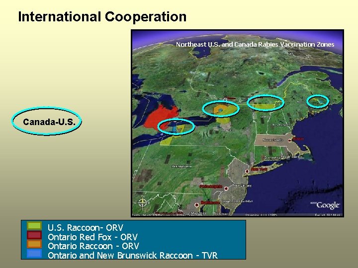 International Cooperation Northeast U. S. and Canada Rabies Vaccination Zones Canada-U. S. Raccoon- ORV