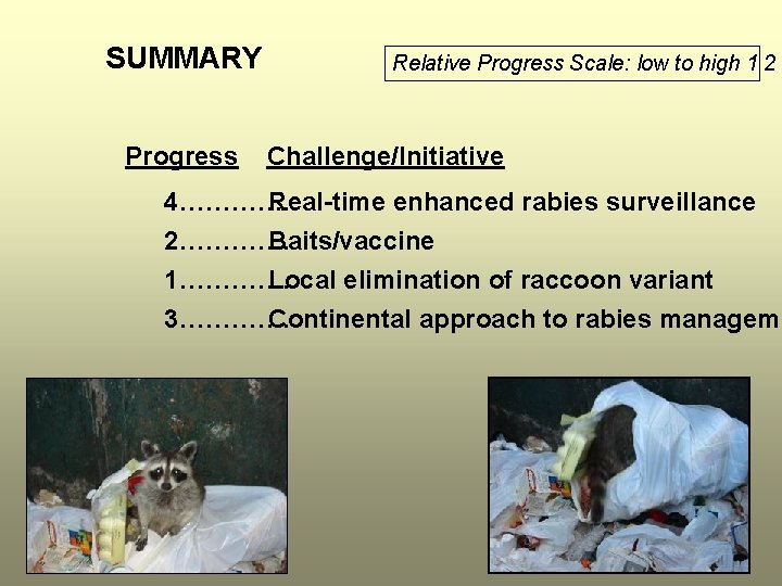 SUMMARY Progress Relative Progress Scale: low to high 1 2 3 Challenge/Initiative 4…………. Real-time