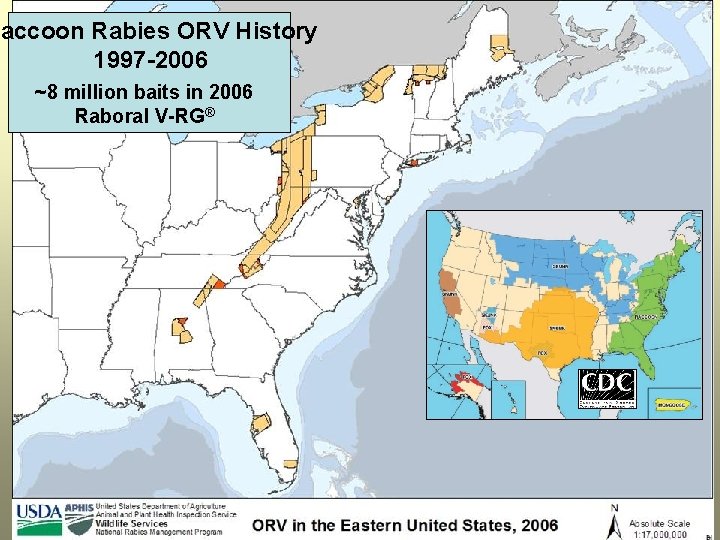 Raccoon Rabies ORV History 1997 -2006 ~8 million baits in 2006 Raboral V-RG® 
