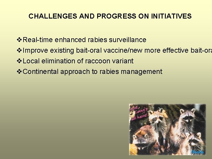 CHALLENGES AND PROGRESS ON INITIATIVES v. Real-time enhanced rabies surveillance v. Improve existing bait-oral
