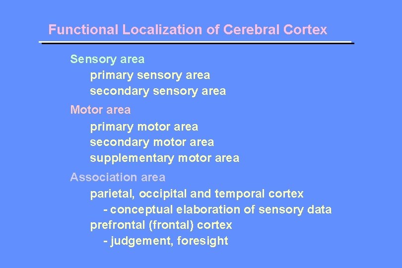 Functional Localization of Cerebral Cortex Sensory area primary sensory area secondary sensory area Motor