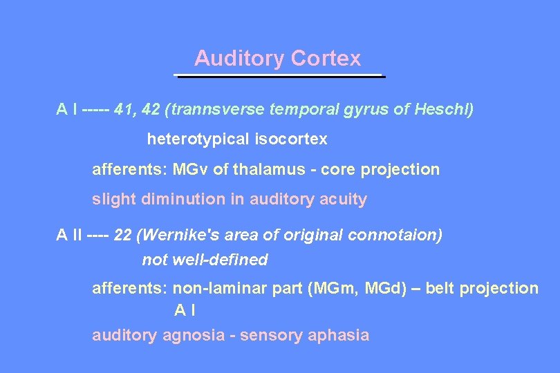 Auditory Cortex A I ----- 41, 42 (trannsverse temporal gyrus of Heschl) heterotypical isocortex