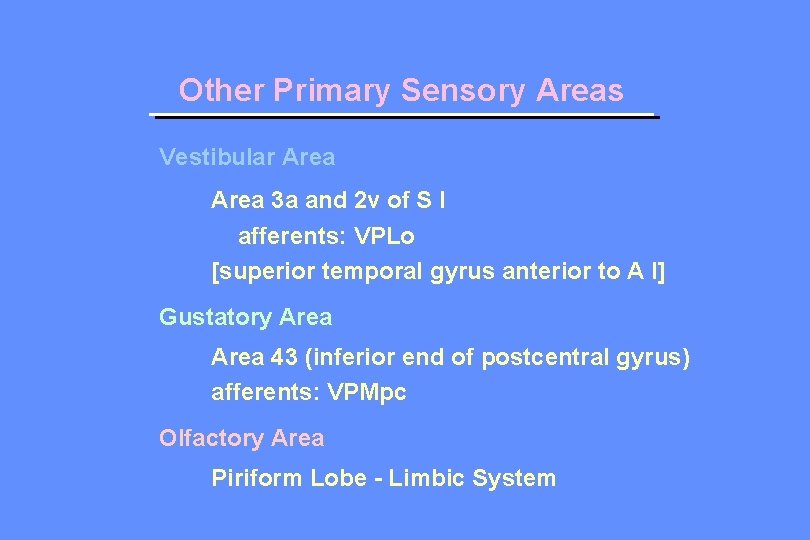 Other Primary Sensory Areas Vestibular Area 3 a and 2 v of S I