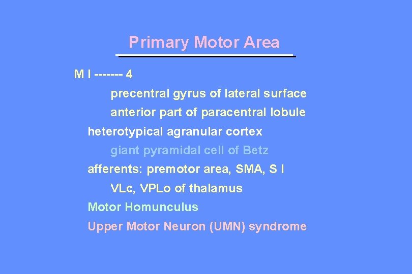 Primary Motor Area M I ------- 4 precentral gyrus of lateral surface anterior part