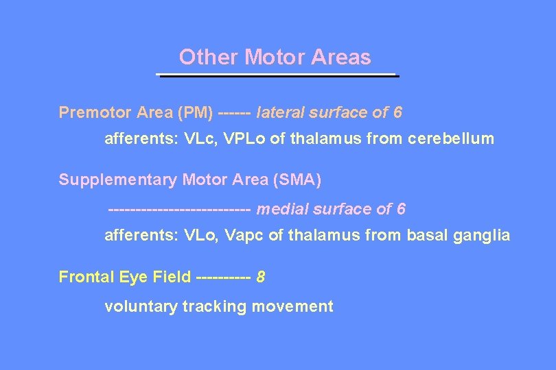 Other Motor Areas Premotor Area (PM) ------ lateral surface of 6 afferents: VLc, VPLo