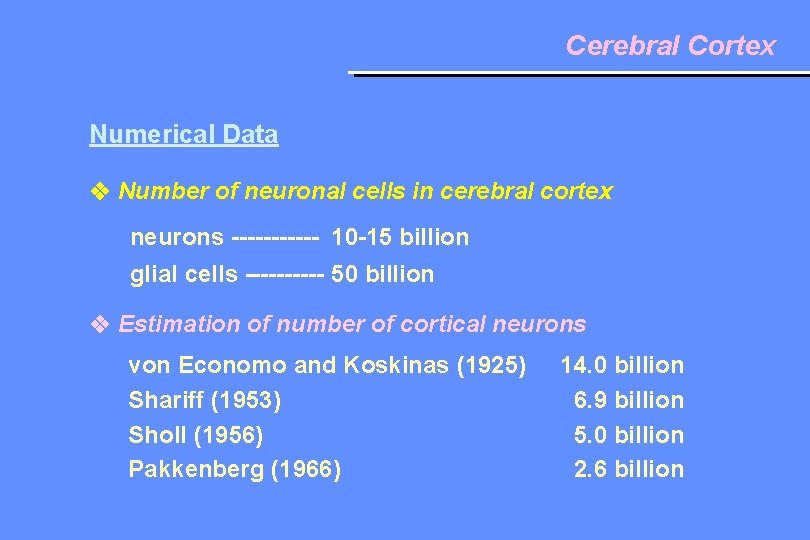 Cerebral Cortex Numerical Data Number of neuronal cells in cerebral cortex neurons ------ 10