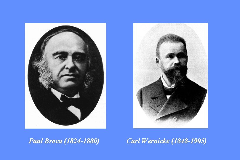 Paul Broca (1824 -1880) Carl Wernicke (1848 -1905) 