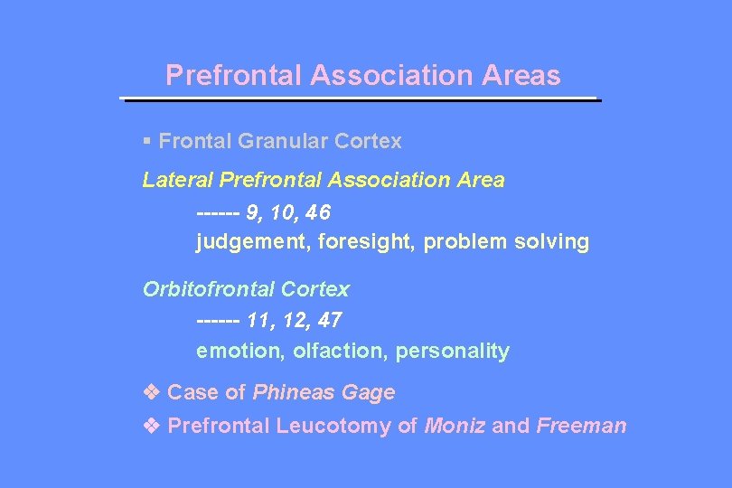 Prefrontal Association Areas § Frontal Granular Cortex Lateral Prefrontal Association Area ------ 9, 10,