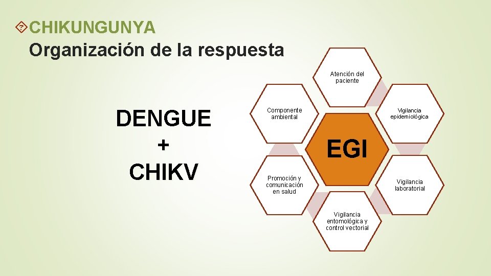 CHIKUNGUNYA Organización de la respuesta Atención del paciente DENGUE + CHIKV Componente ambiental CHIKUNGUNYA Organización de la respuesta Atención del paciente DENGUE + CHIKV Componente ambiental