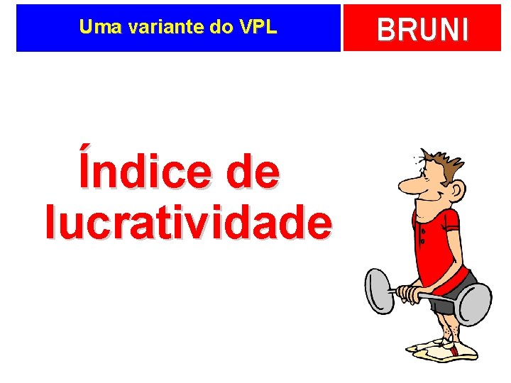 Uma variante do VPL Índice de lucratividade BRUNI 