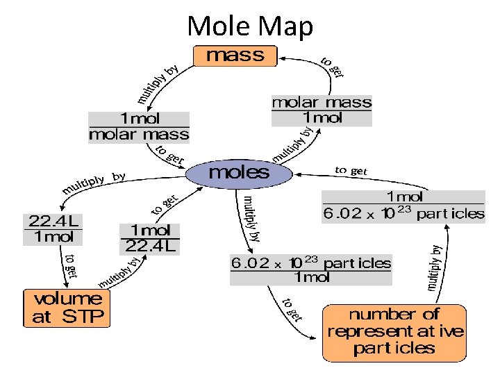 Mole Map 