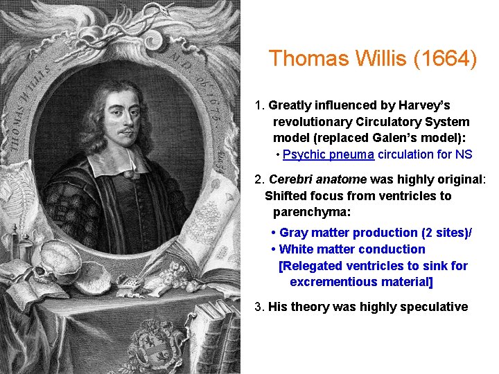 Thomas Willis (1664) 1. Greatly influenced by Harvey’s revolutionary Circulatory System model (replaced Galen’s