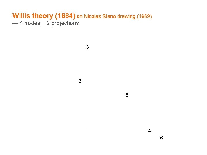 Willis theory (1664) on Nicolas Steno drawing (1669) — 4 nodes, 12 projections 3