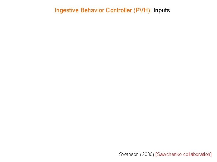 Ingestive Behavior Controller (PVH): Inputs Swanson (2000) [Sawchenko collaboration] 