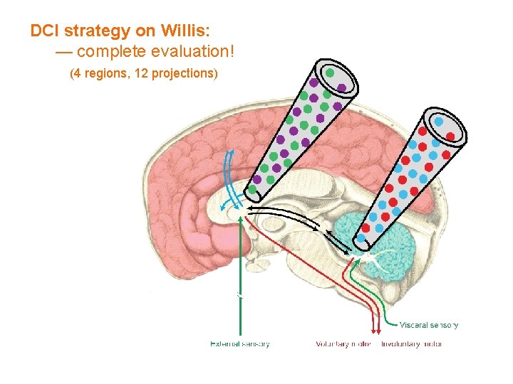 DCI strategy on Willis: — complete evaluation! (4 regions, 12 projections) 