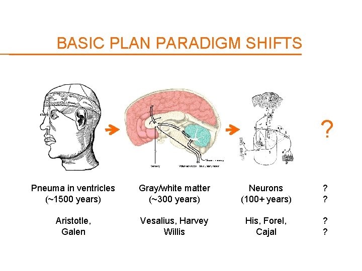 BASIC PLAN PARADIGM SHIFTS ? Pneuma in ventricles (~1500 years) Gray/white matter (~300 years)