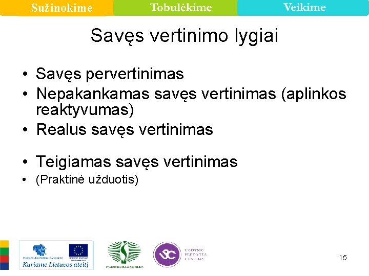 Sužinokime Savęs vertinimo lygiai • Savęs pervertinimas • Nepakankamas savęs vertinimas (aplinkos reaktyvumas) •