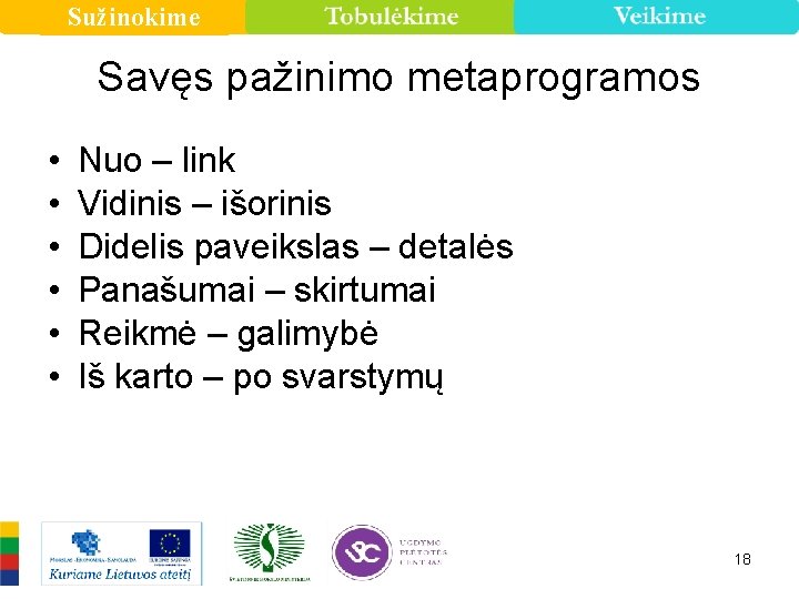 Sužinokime Savęs pažinimo metaprogramos • • • Nuo – link Vidinis – išorinis Didelis