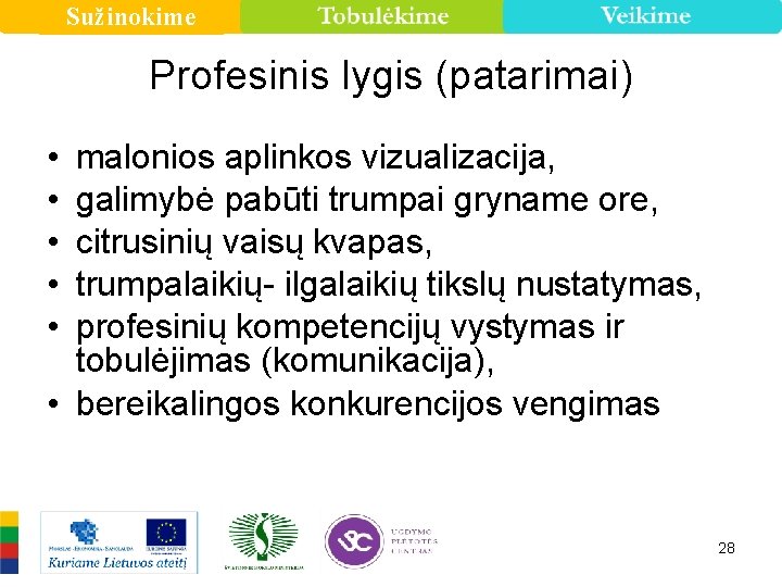 Sužinokime Profesinis lygis (patarimai) • • • malonios aplinkos vizualizacija, galimybė pabūti trumpai gryname