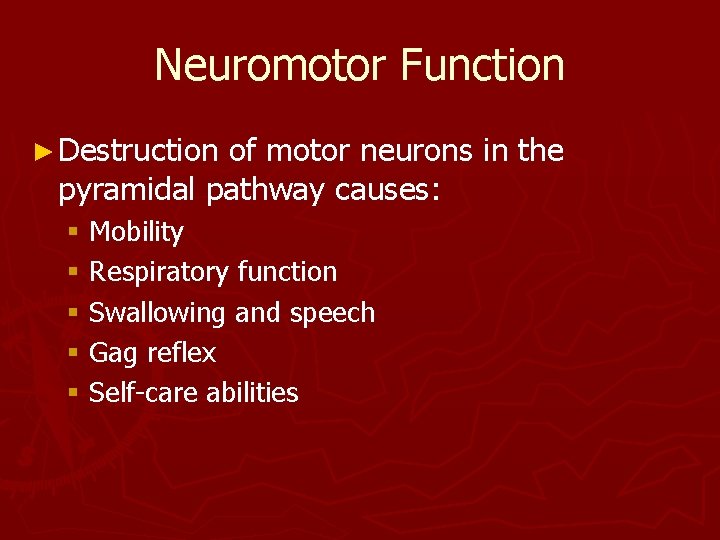 Neuromotor Function ► Destruction of motor neurons in the pyramidal pathway causes: § Mobility