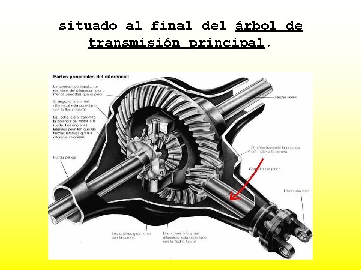 situado al final del árbol de transmisión principal. 