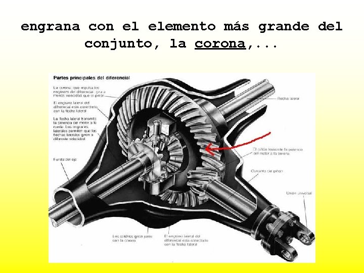 engrana con el elemento más grande del conjunto, la corona, . . . 