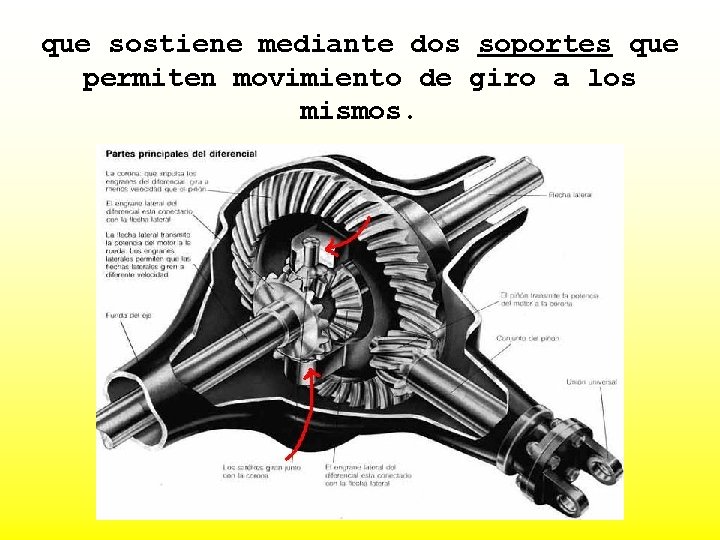 que sostiene mediante dos soportes que permiten movimiento de giro a los mismos. 