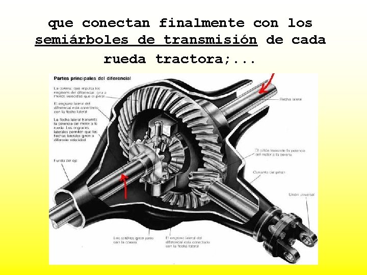 que conectan finalmente con los semiárboles de transmisión de cada rueda tractora; . .