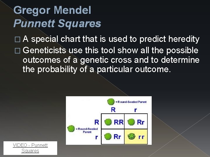 Gregor Mendel Punnett Squares � A special chart that is used to predict heredity