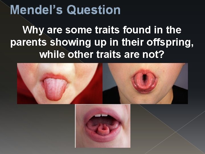 Mendel’s Question Why are some traits found in the parents showing up in their