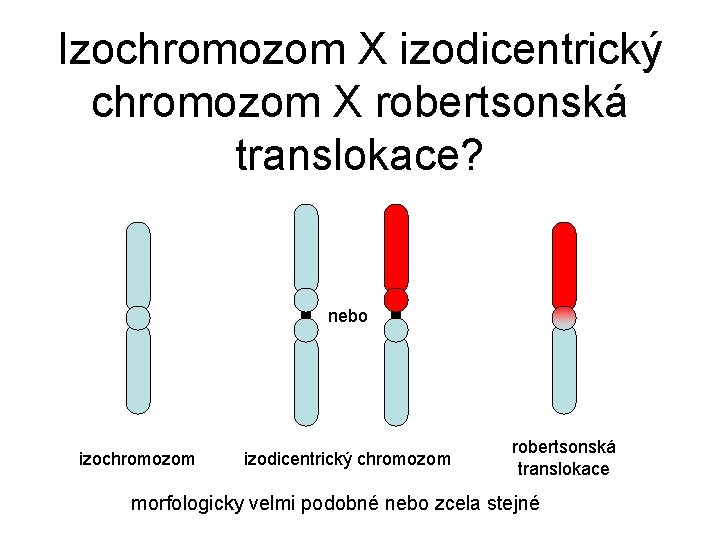 Izochromozom X izodicentrický chromozom X robertsonská translokace? nebo izochromozom izodicentrický chromozom robertsonská translokace morfologicky