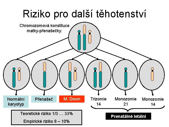 Riziko pro další těhotenství Chromozomová konstituce matky-přenašečky: Normální karyotyp Přenašeč M. Down Teoretické riziko