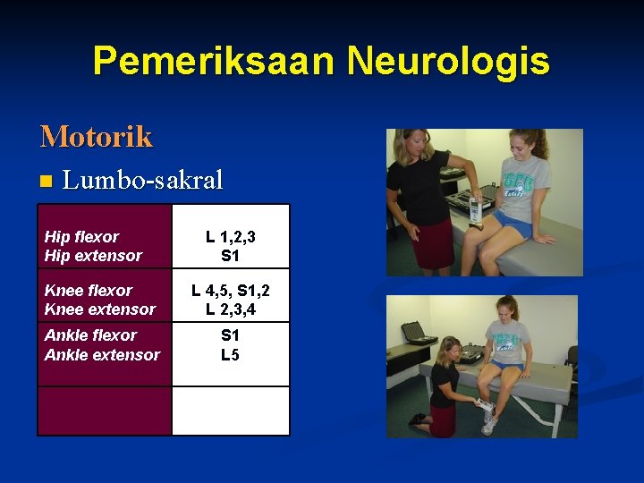 Pemeriksaan Neurologis Motorik n Lumbo-sakral Hip flexor Hip extensor L 1, 2, 3 S