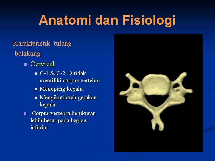 Anatomi dan Fisiologi Karakteristik tulang belakang n Cervical C-1 & C-2 tidak memiliki corpus