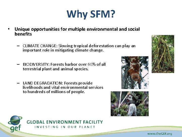 Why SFM? • Unique opportunities for multiple environmental and social benefits – CLIMATE CHANGE: