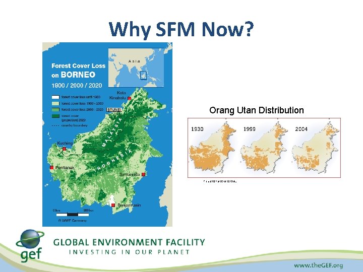 Why SFM Now? Orang Utan Distribution From UNEP GRID ARENDAL 