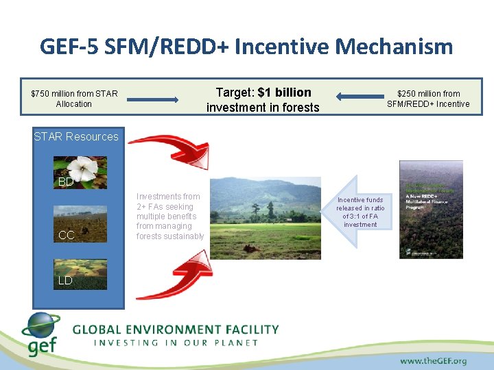GEF-5 SFM/REDD+ Incentive Mechanism Target: $1 billion investment in forests $750 million from STAR